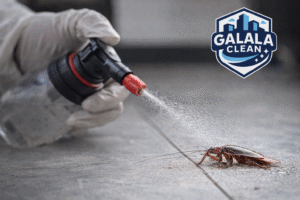 شركة مكافحة حشرات بنجران أثناء تنفيذ أعمال رش مبيدات حشرية آمنة للقضاء على الصراصير داخل المنازل مع ظهور شعار الجلالة كلين أعلى يمين الصورة